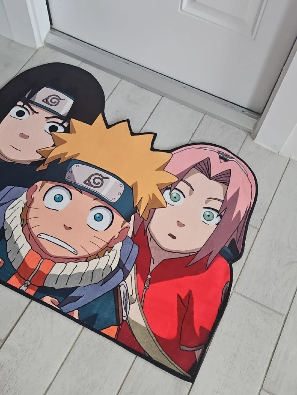 N/A anime door